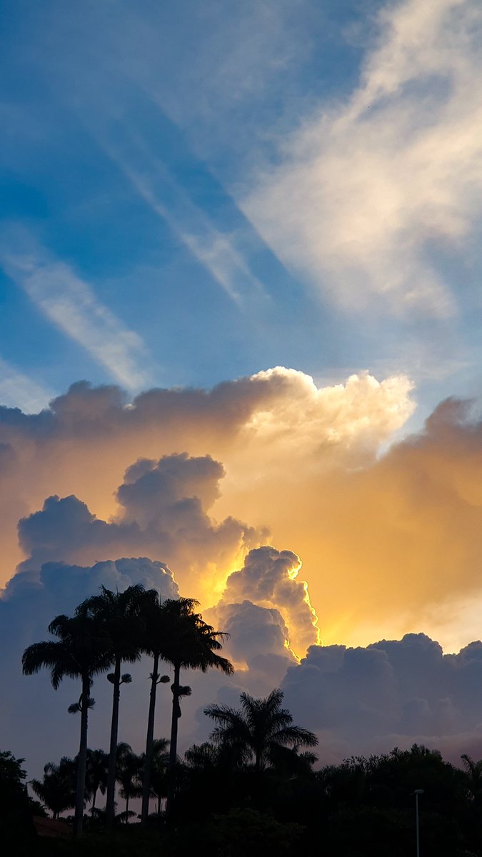 GM!
For those who love clouds, yesterday we had a show at sunset!