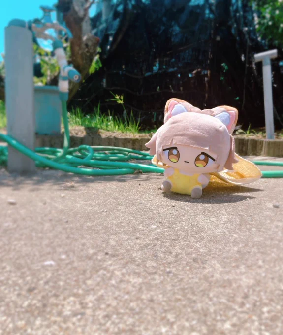 去年の夏のちゅね 良すぎる