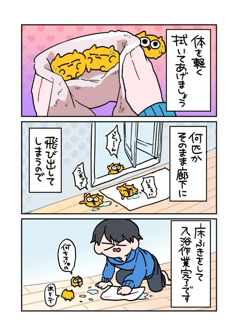 うんたねこのお世話④
 #うんたねこ #漫画が読めるハッシュタグ 