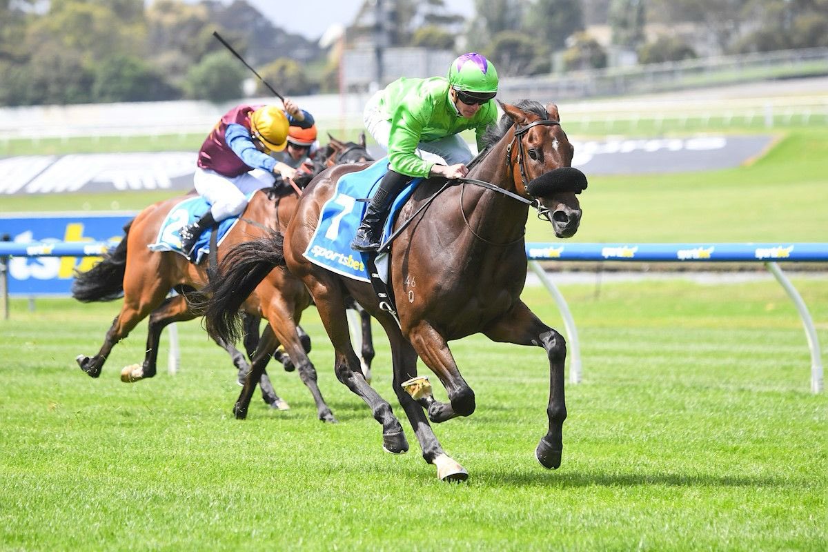 Liam Howley Racing tweet media