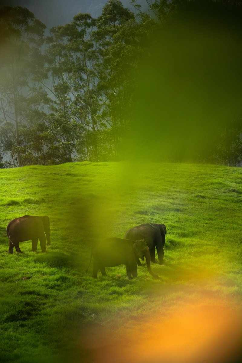 Subhash Nair tweet media