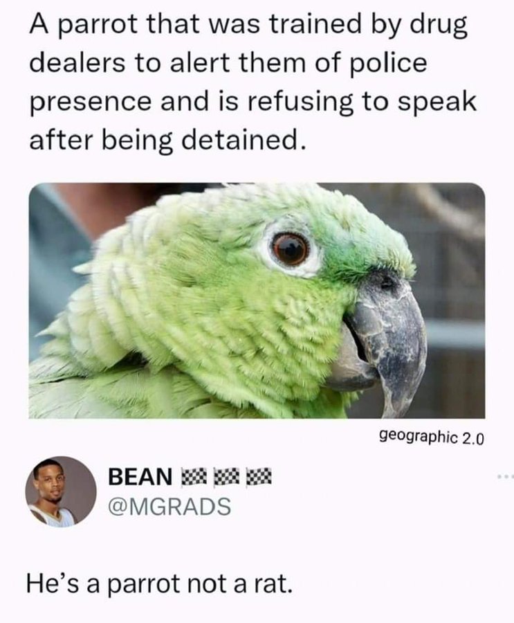 star 💫 tweet media