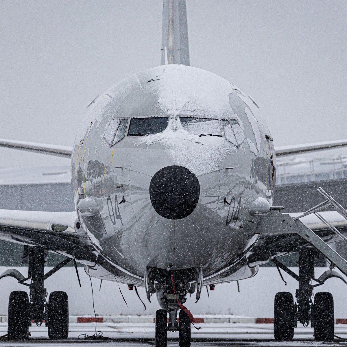 🔱 ZP804 - Spirit of Reykjavik 🇮🇸

Have a great day!