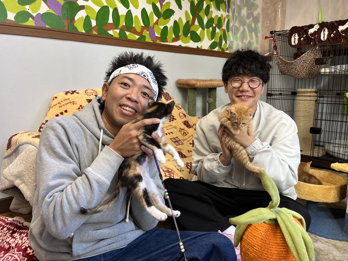 ◤◢◤ 今夜11時放送の #ねこ自慢◢◤◢ ☆ねこ好き俳優 #前原滉 さん