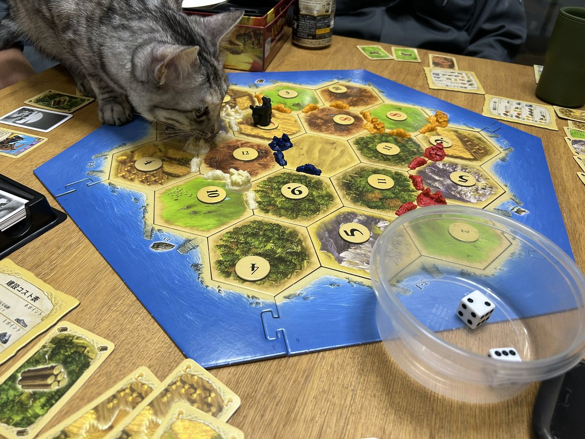 zakkimerukari's tweet photo. 身内ルールで猫が乱入した場合は見守らなければならないというルールによって作り上げた街がめちゃくちゃに破壊されるカタン https://t.co/8qKn7SmeWG
