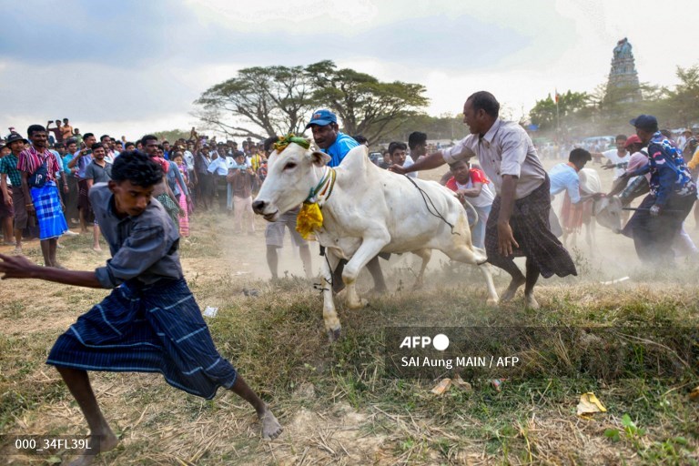 AFP Photo tweet media