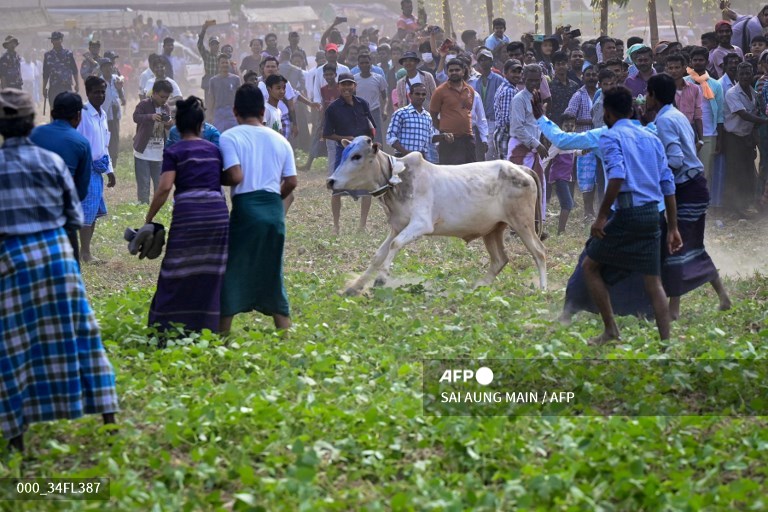 AFP Photo tweet media