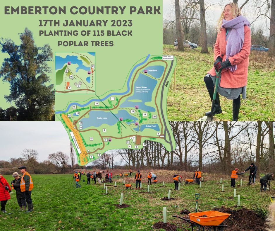 Lovely morning remembering Alan Holmes planting Black Poplars at #embertoncountrypark #biodiversity #blackpoplars #miltonkeynes #communitytreesmk