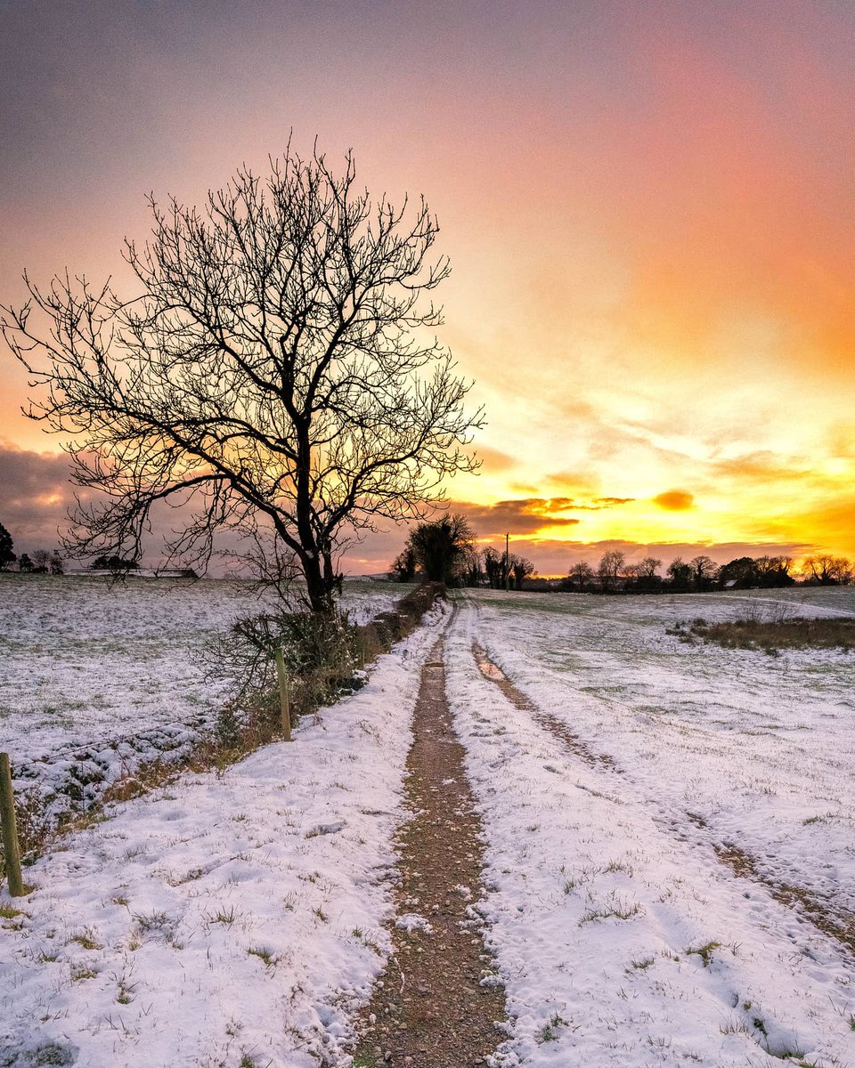 All paths lead to sunset skies in County #Cavan 🧡 Dust off the boots, wrap up well, and head for the snowy fields for a #goldenhour stroll! Tag who you would walk into this sunset with! 😍 📸 adrianlangtry [IG] #KeepDiscovering #IrelandsHiddenHeartlands