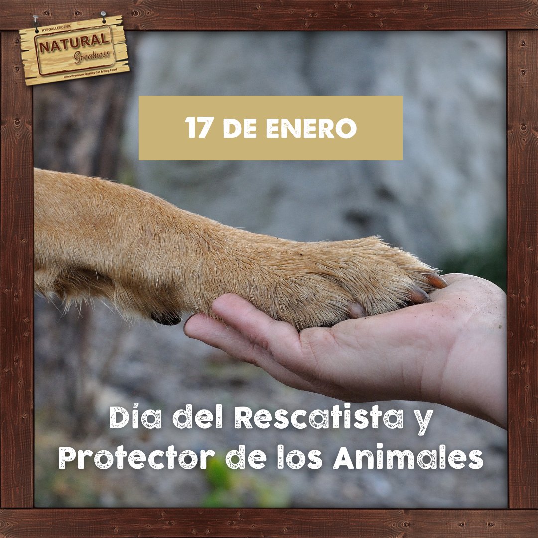 Hoy en el Día de Sant Antoni, reconocemos a héroes de asociaciones y protectoras, Rescatistas y Protectores de Animales. Respaldamos su compromiso altruista para construir un mundo más amable para nuestros compañeros peludos. ¡Gracias por ser hogares llenos de amor y cuidado!