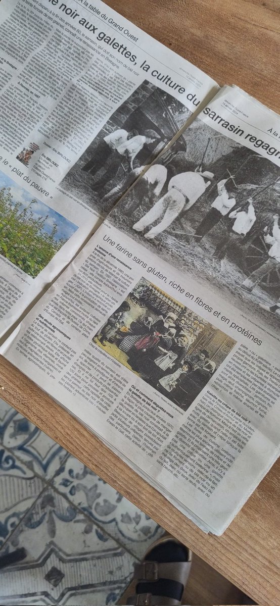 Laura Bourdais tweet media