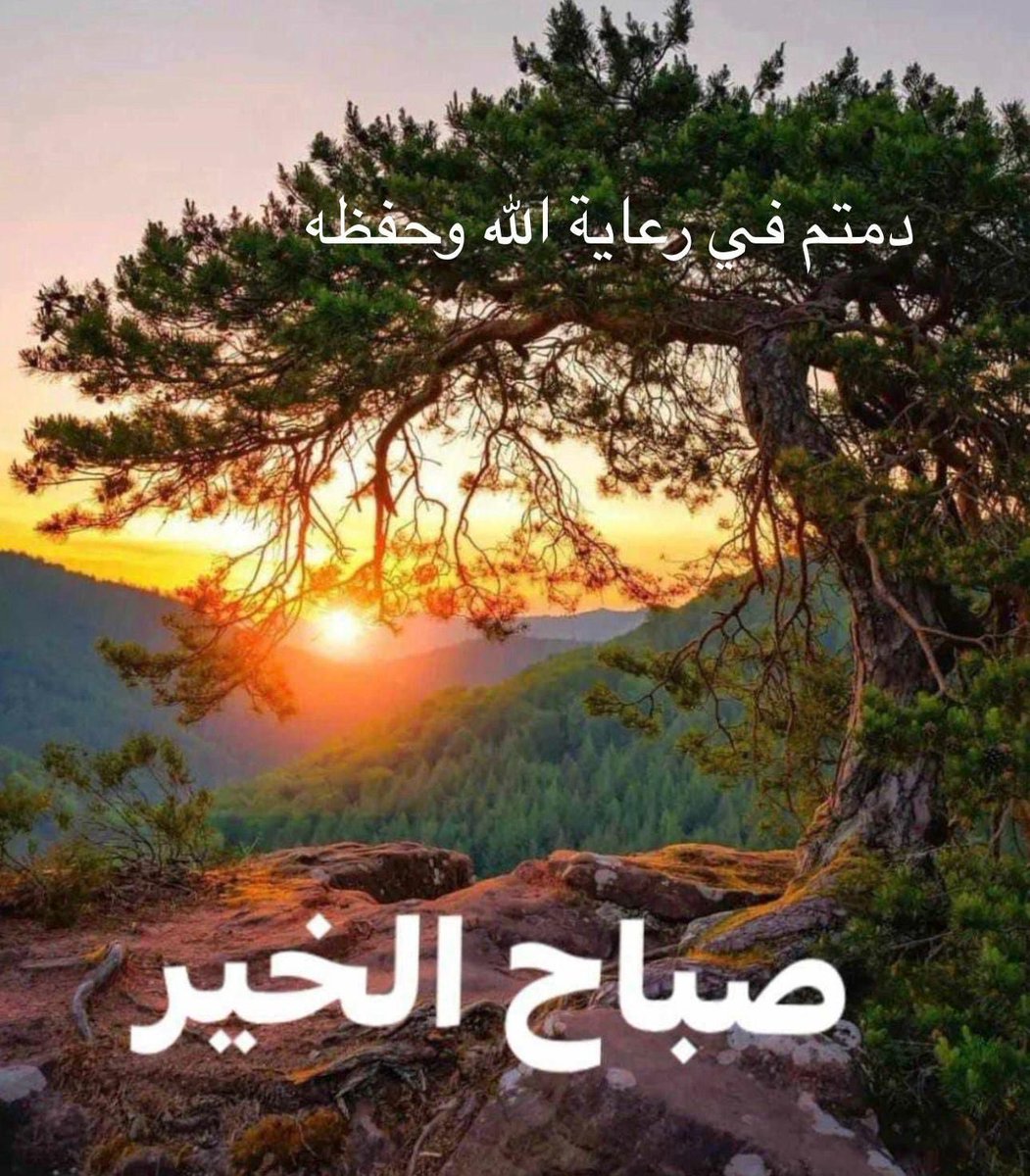 hani_skafi24 tweet media