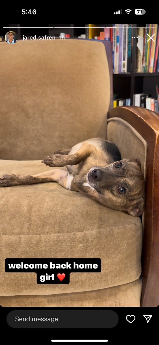 Can’t believe it. She was living on own in a long two-ish foot wide area b/t sound wall and a highway, under bushes, for 3 or so weeks. Spotted and found (thanks to person who called me and thanks to City of Miami Police who made it safe for my son and I to check the bushes).