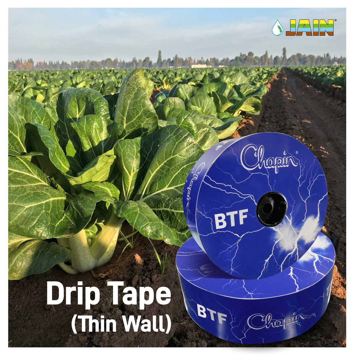 JainIrrigation's tweet photo. High performance along with Bumper Yields are for sure in!!
With usage of #JainChapin💧
#ThinWall Drip Tape by #JainIrrigation💯

#JainDrip #DripIrrigation #Irrigation #AgTech #Water #Agriculture #SaveWater #JISL https://t.co/GrBBl5LrIb