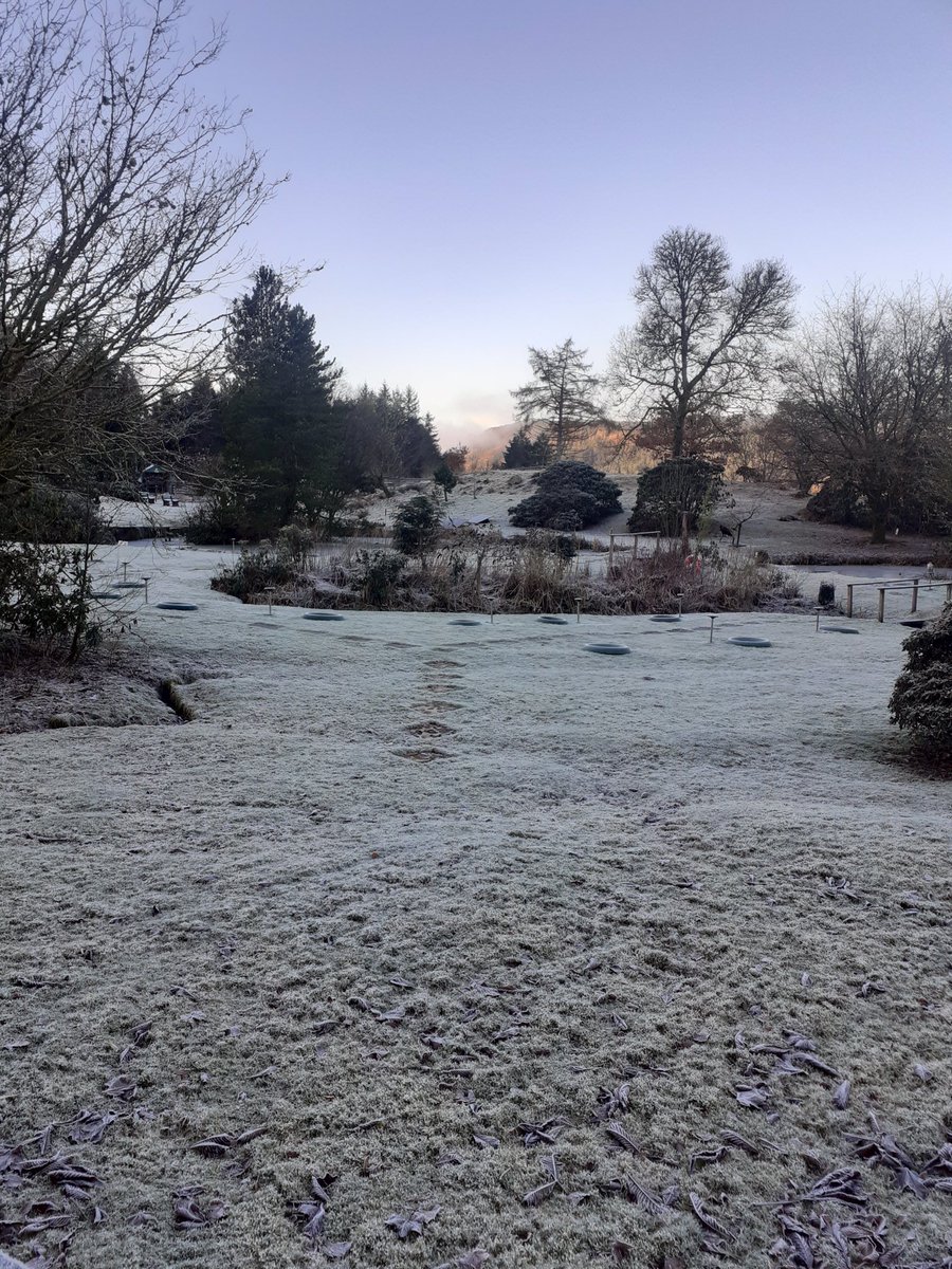 Hurry up sun it is freezing here. #lochawe #lochawefalconry #falconrylochawe #frostymorning #eredine