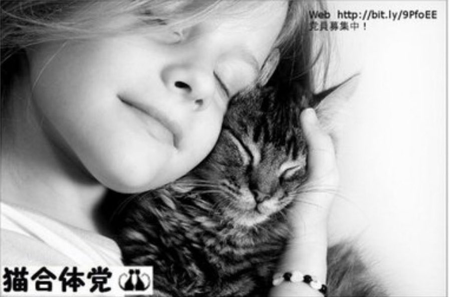 neko075's tweet photo. ちーろヽ(•̀ω•́ )ゝ✧@猫専用垢

猫合体党党員No.704
もふもふRT党猫部 https://t.co/AufjMy11Yz