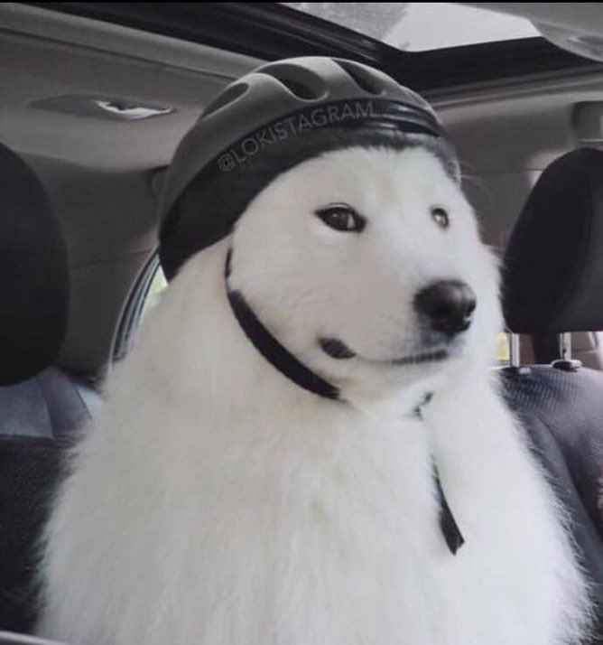 ไปดิ๊                                            ไปไป