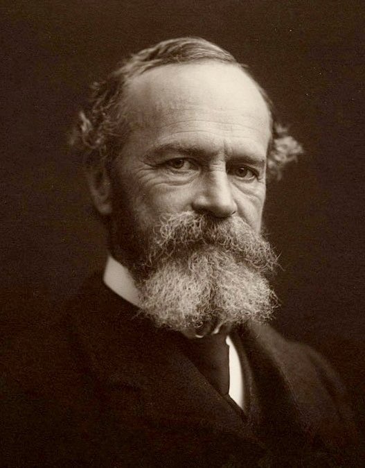 RealBlakeWeaver's tweet photo. William James has two maxims for implementing new habits or relinquishing old habits.

1. Take care to launch yourself with as strong and decided an initiative as possible.

2. Never suffer an exception to occur until the new habit is securely rooted in your life. https://t.co/I4TIURbtIp