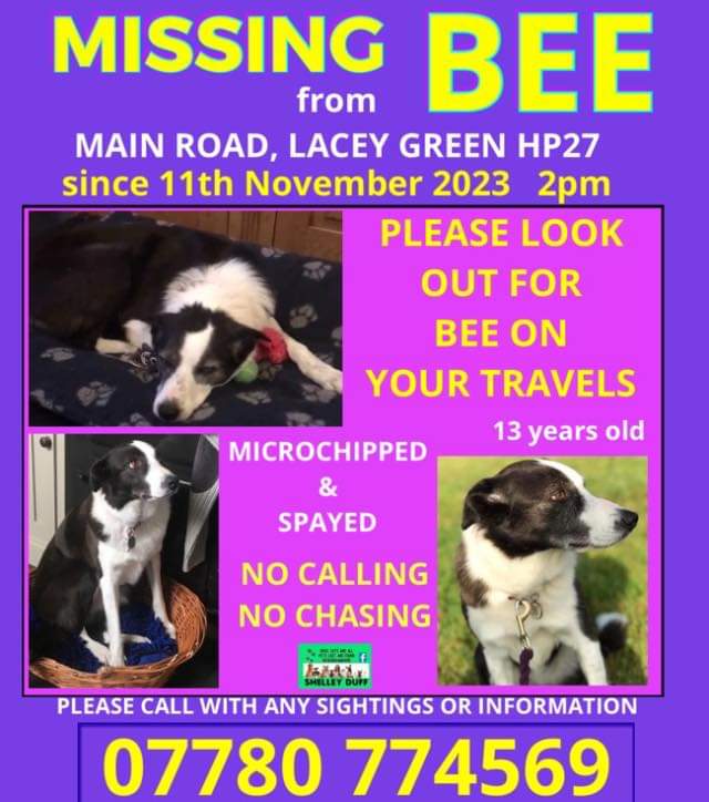 Bee has been missing for over 2 months Please keep looking and sharing for her She could be anywhere. Missing from #Buckinghamshire #UK