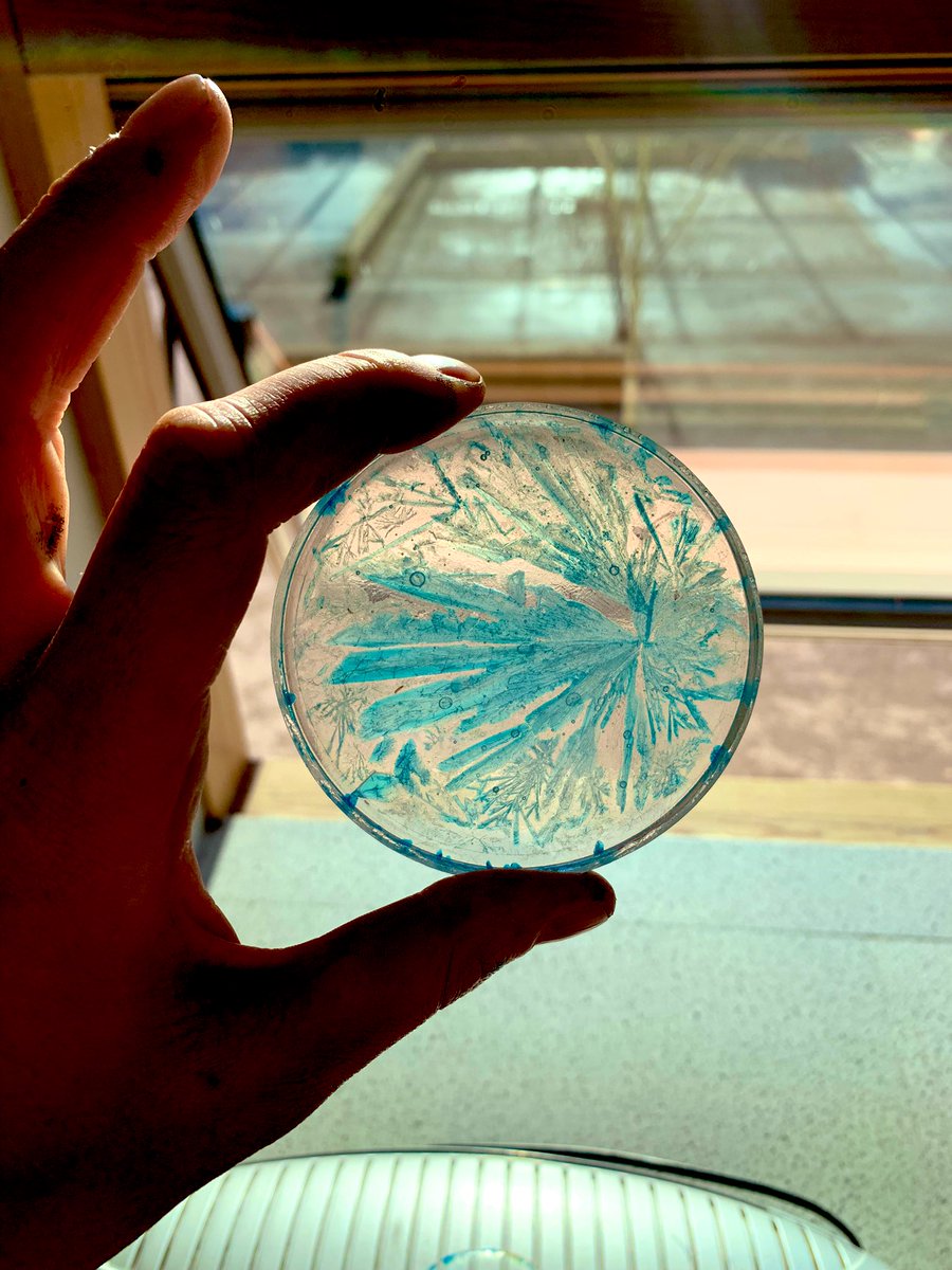 Dr Hannah Nicholas (@hannahchemistry) on Twitter photo What to do with copper sulfate crystals when you’ve finished with them…. Make them into a coaster 😂😍 <a href="/DartonDelta/">DeltaDartonScience</a> What to do with copper sulfate crystals when you’ve finished with them…. Make them into a coaster 😂😍 <a href="/DartonDelta/">DeltaDartonScience</a>