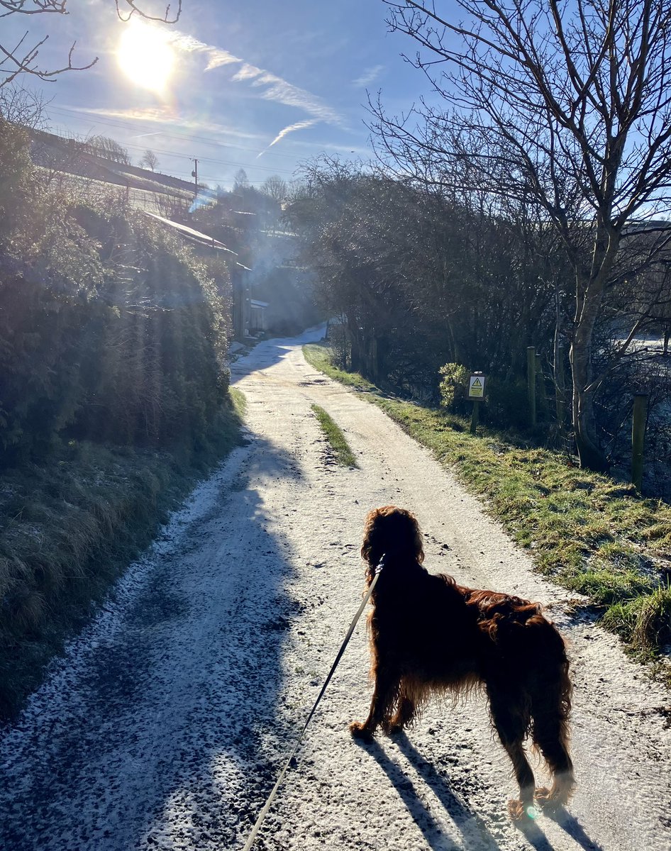 Tim_C_Ingram's tweet photo. Beautiful, crisp morning #HolywellGreen #JaggerGreen https://t.co/Qpzoqd4y4G