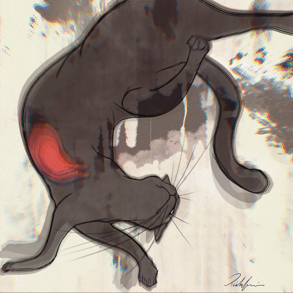 cat no humans black cat animal focus signature animal chromatic aberration  illustration images