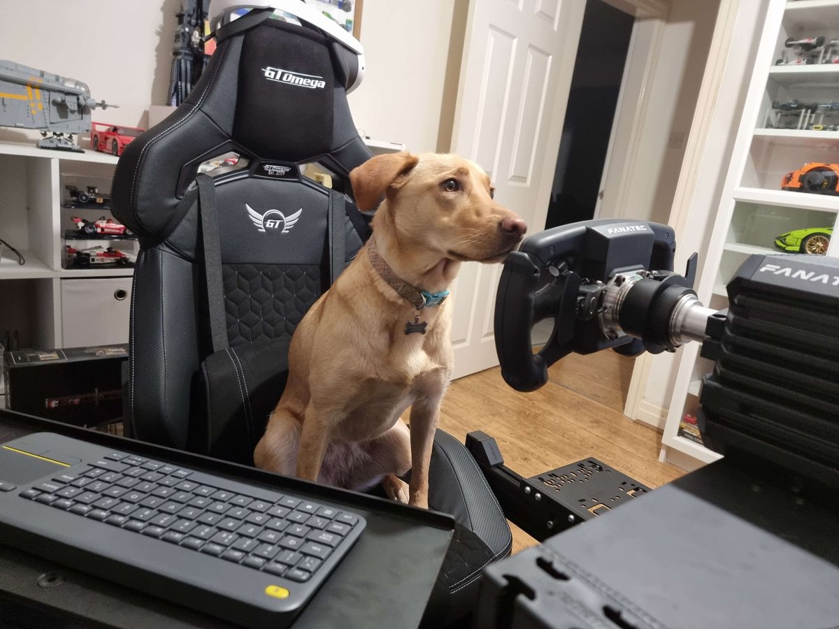 GT Omega tweet media