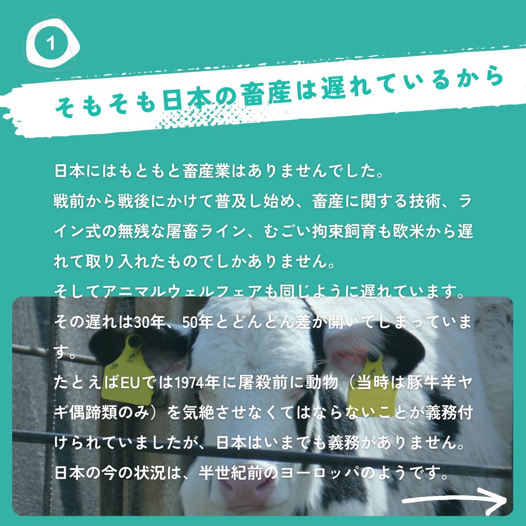 pigshavehearts's tweet photo. 「日本のアニマルウェルフェアは、どうしてこんなに遅れているの?」
その疑問に答える6つの回答をまとめました。
アニマルウェルフェアを進めるために大切なのは、現状を知って、正しい知識をつけること。そして周りに発信すること。
私たちの運動に加わってください。
https://t.co/xFG0BYDQGJ https://t.co/v2v8C3CmqP