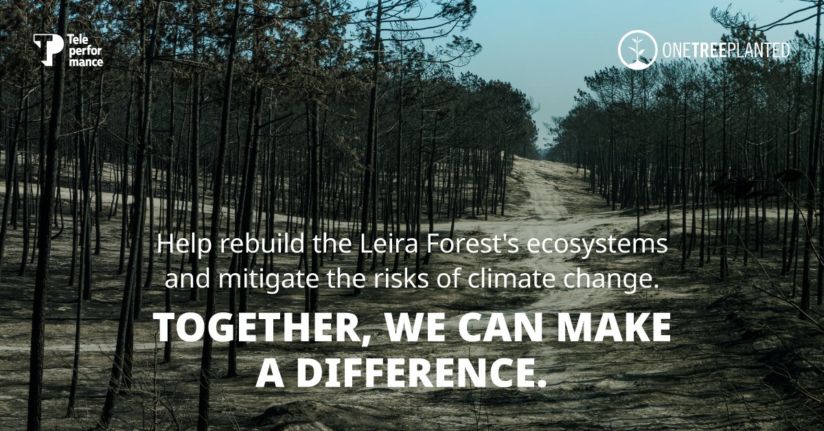 TP_USA's tweet photo. In 2017, a wildfire caused significant damage to the forest in Leiria, Portugal.
To combat this threat, it is essential to focus on rebuilding its ecosystems and wildlife habitats.
#TPCares #COTP #Proud2beTP #TPforOneTreePlanted https://t.co/cb8f5tigQy