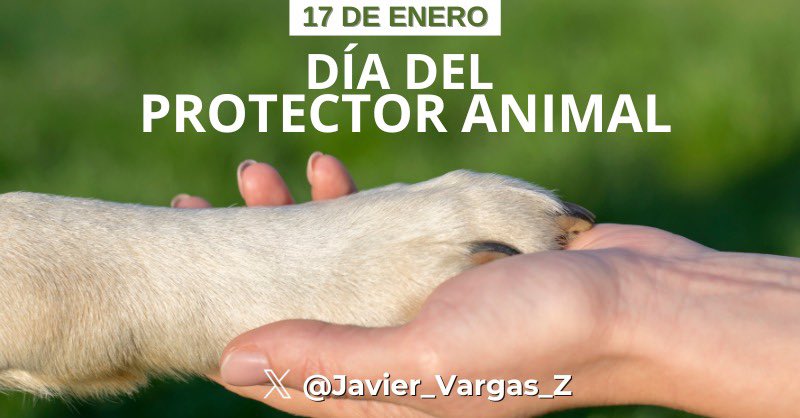Javier_Vargas_Z's tweet photo. #SabíasQue cada 17 de enero se celebra el #DíaDelProtectorAnimal, en reconocimiento a todas aquellas personas que, desde su cotidianidad, ayudan y protegen a los animales. Este día se eligió en honor a San Antonio Abad, considerado como el protector y patrón de los animales.🐾😼 https://t.co/mOJaKMTgB2