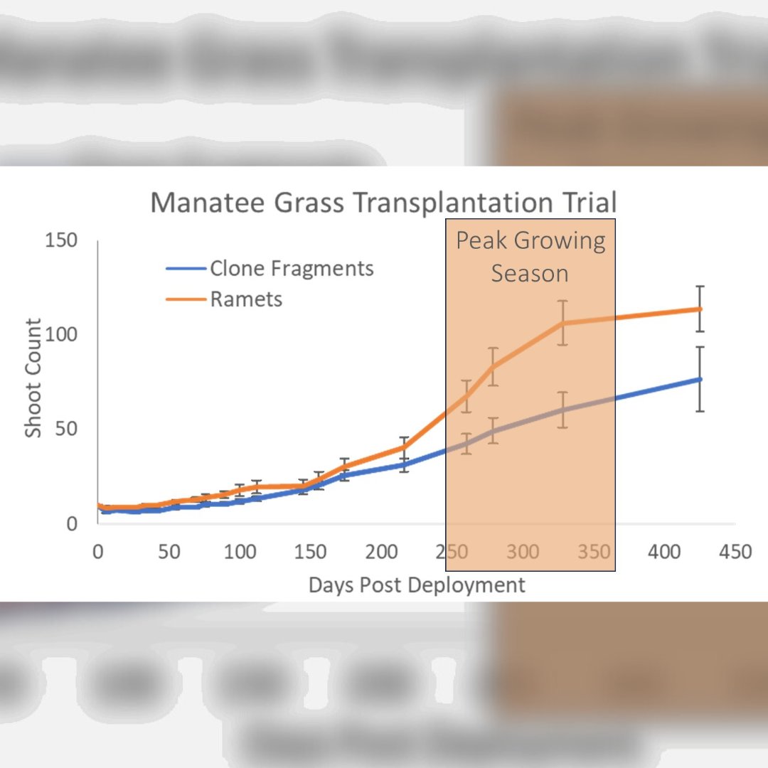 Florida Oceanographic Society tweet media