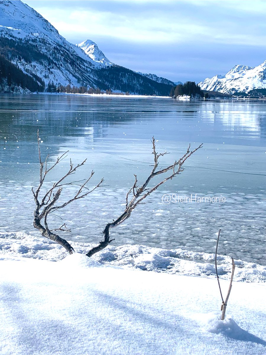 stein5864's tweet photo. ❄️Guten Morgen ❄️💙❄️ https://t.co/Kme96ZFQnK