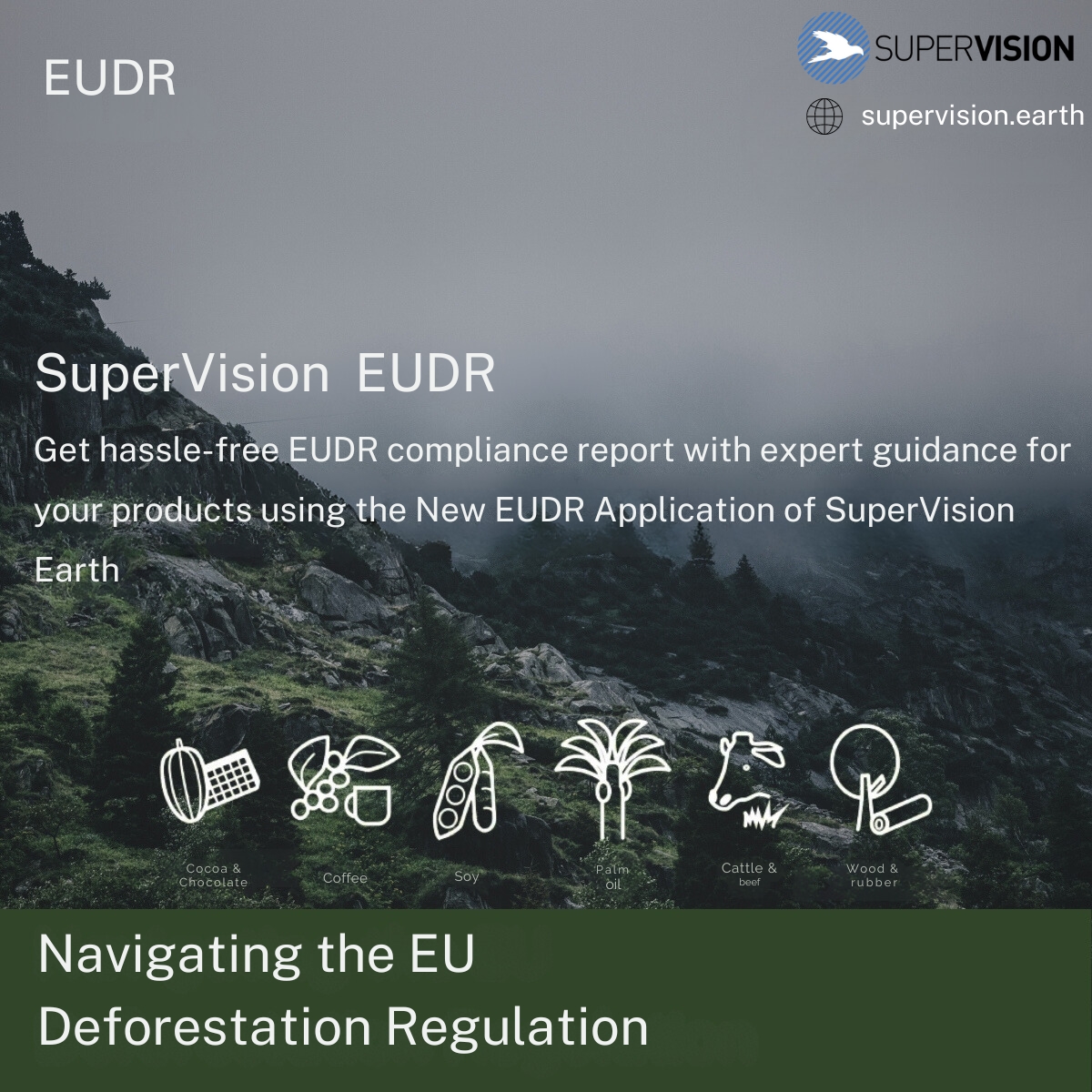 SuperVision Earth tweet media