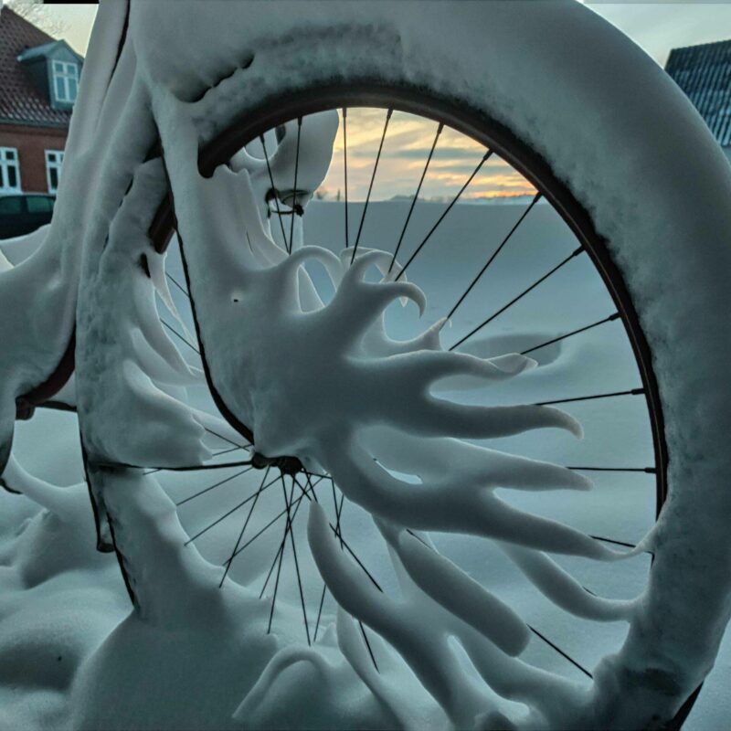 Mooie foto van de dag