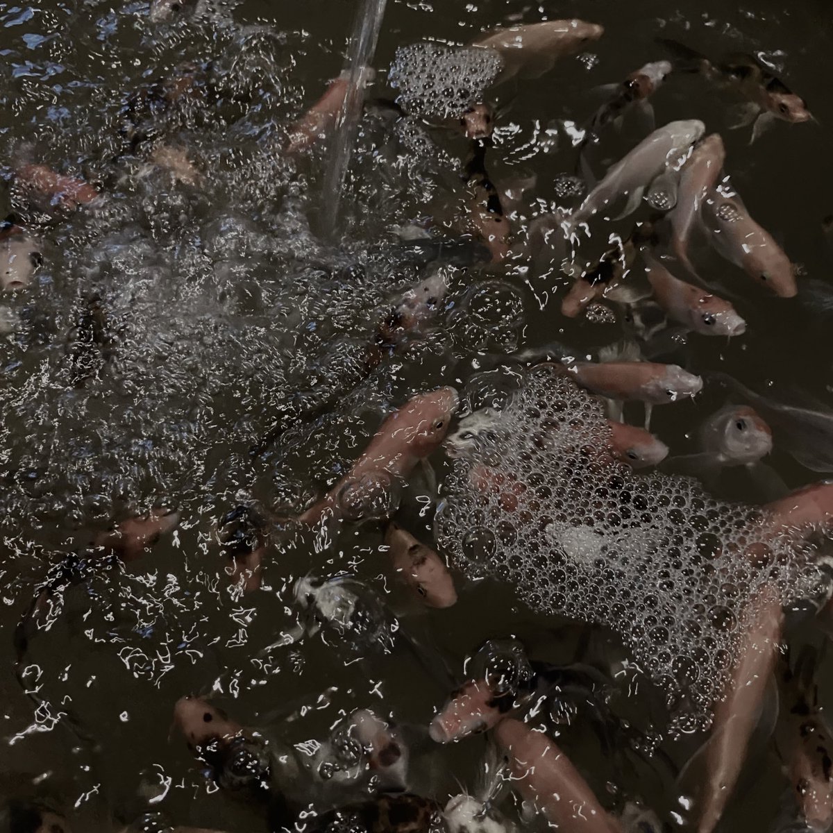 Travis Ivan (@verhili) on Twitter photo 