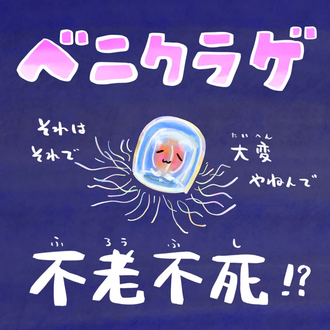 理論上は不老不死、ただし…