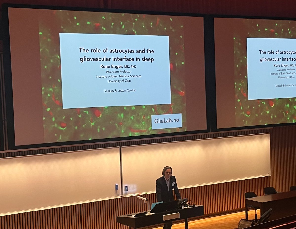 Glialabs boss presenting our labs work at the 4th Nordic Neuroscience meeting in Copenhagen!