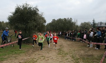 Foto cedida por Ayuntamiento de Rivas