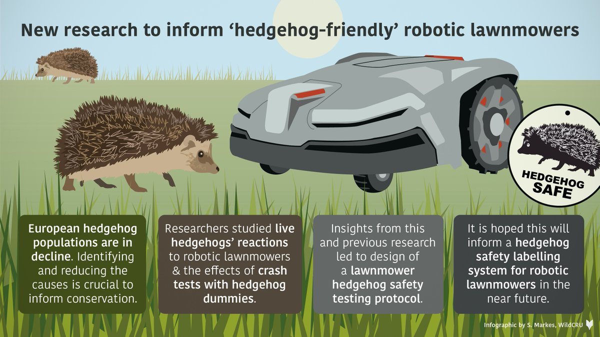 NEW: Researchers have developed a new test to assess how dangerous robotic lawnmowers are to hedgehogs. They hope this will lead to a certification scheme that will allow consumers to choose ‘hedgehog-friendly’ mowers to help protect these lovable mammals. 📷 | @WildCRU_Ox