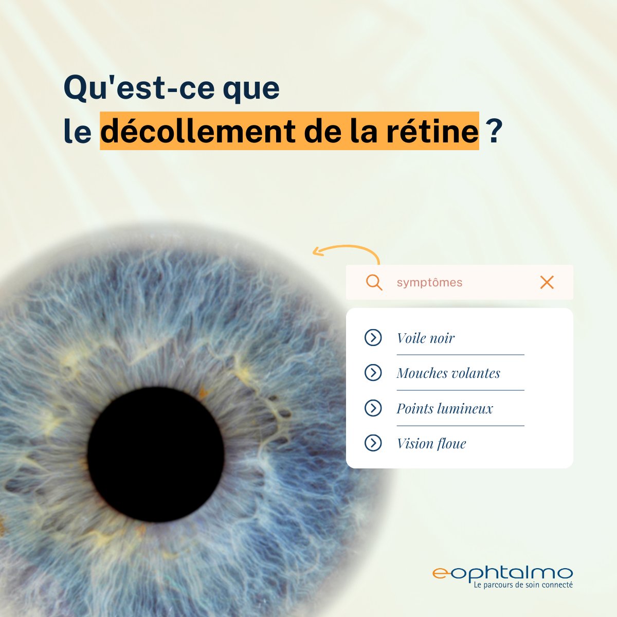 eophtalmo's tweet photo. Le décollement de la rétine est une urgence médicale qui arrive à 1 personne sur 10 000.

Voici les signes avant-coureurs : https://t.co/4i2QLGeb87