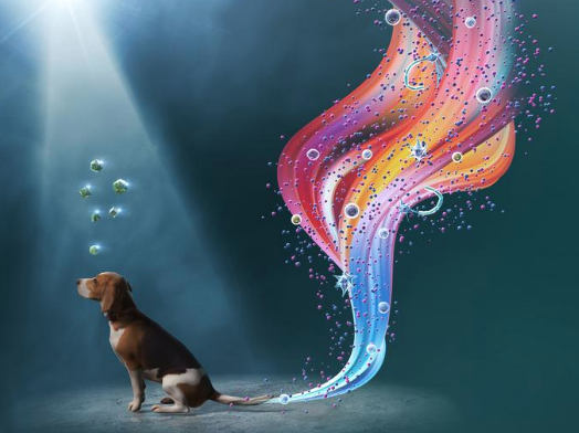 The future of canine stem cell therapy: unprecedented, painless, and feeder-free
#canine #dogs #Science

eurekalert.org/news-releases/…