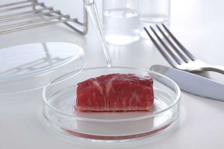 ProtelProjects's tweet image. ‘World’s first’ growth media factory in the works for cultivated meat, milk #foodindustry #foodscience #cellbasedmeat #serumfreegrowthmedia #investment #newbuild #capex #ukhttps://buff.ly/3SkIGah