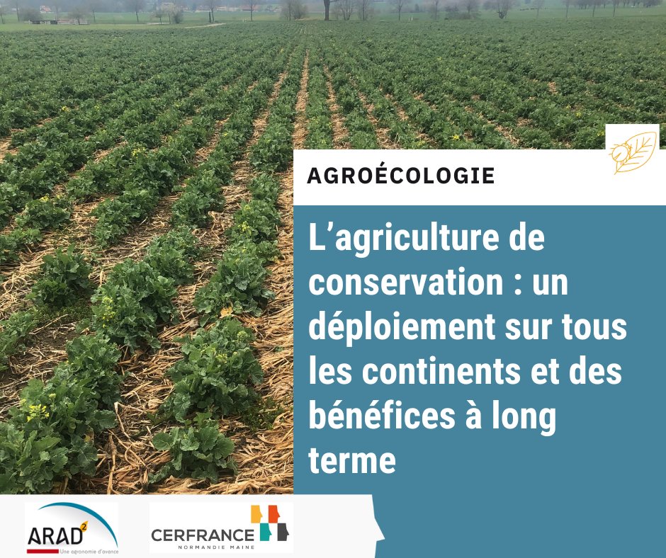 [Agroécologie] Déploiement de l'agriculture de conservation des sols dans le monde et présentation de 25 ans de résultats de la plateforme Oberhacker d'un comparatif labour/semis direct

Pour en savoir plus : normandiemaine.cerfrance.fr/arad2/agricult…

@Cerfrance_sn <a href="/Cerfrance_5372/">Cerfrance Mayenne-Sarthe</a> <a href="/CerfranceOrne/">Cerfrance Orne</a>