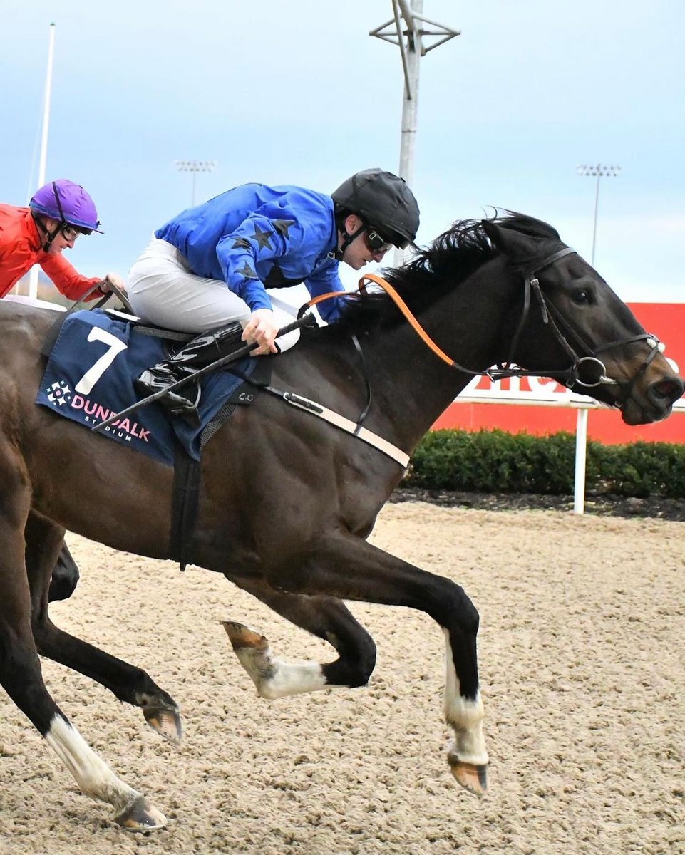 NatStudStallion's tweet photo. Lets make that 6โฃ0โฃ % winners to runners from just 24 runners for ๐ฅ๐๐๐๐ฆ๐๐ก๐๐๐ ๐ฅ
๐๐ถ๐๐น๐ถ๐ป๐ด ๐ข๐๐ฐ๐ฎ๐ฟ picks up well and keeps going all the way to the line for a gutsy first win @DundalkStadium, giving his sire a new winner๐๐ฌ๏ธ
#RAJ #NSstallions #Exceptionalvalue https://t.co/7qZFRI22ak