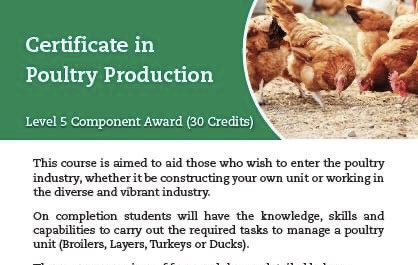 Teagasc Poultry tweet media