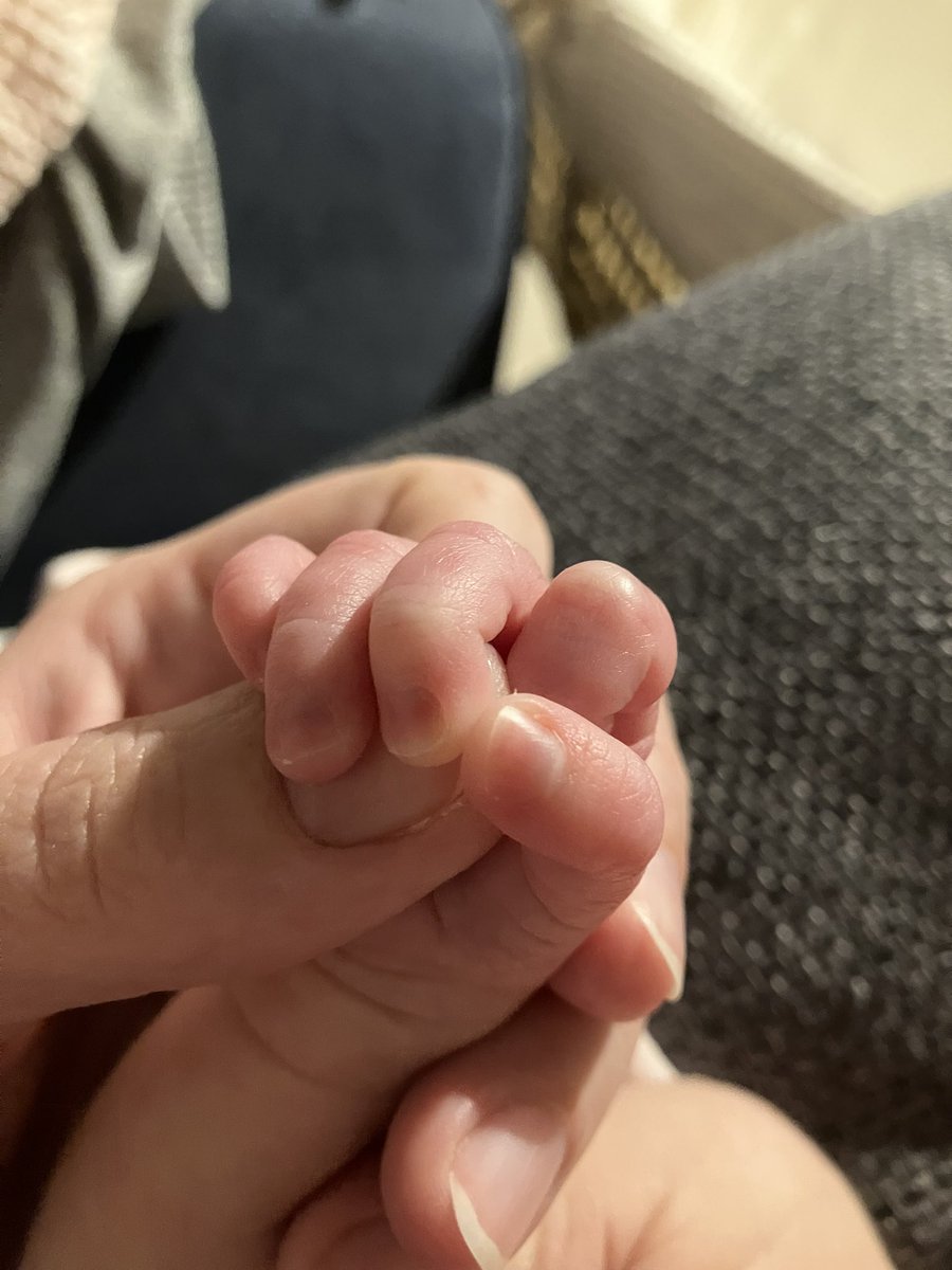 Dr Beth Mead - find me on Bluesky tweet media