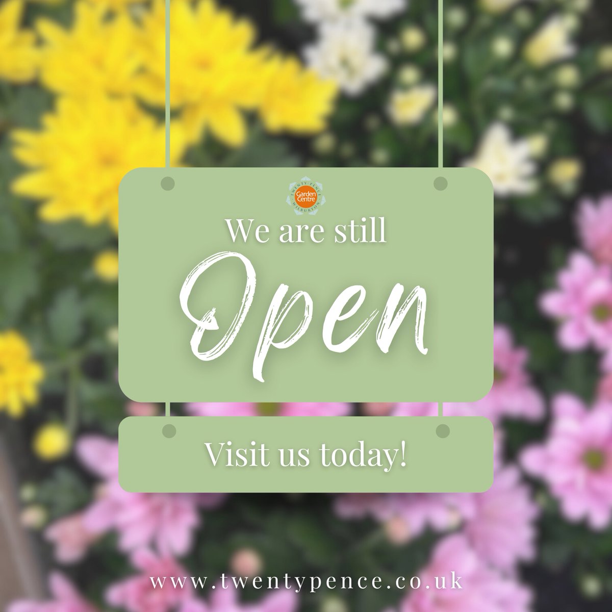 Twenty Pence Garden Centre tweet media