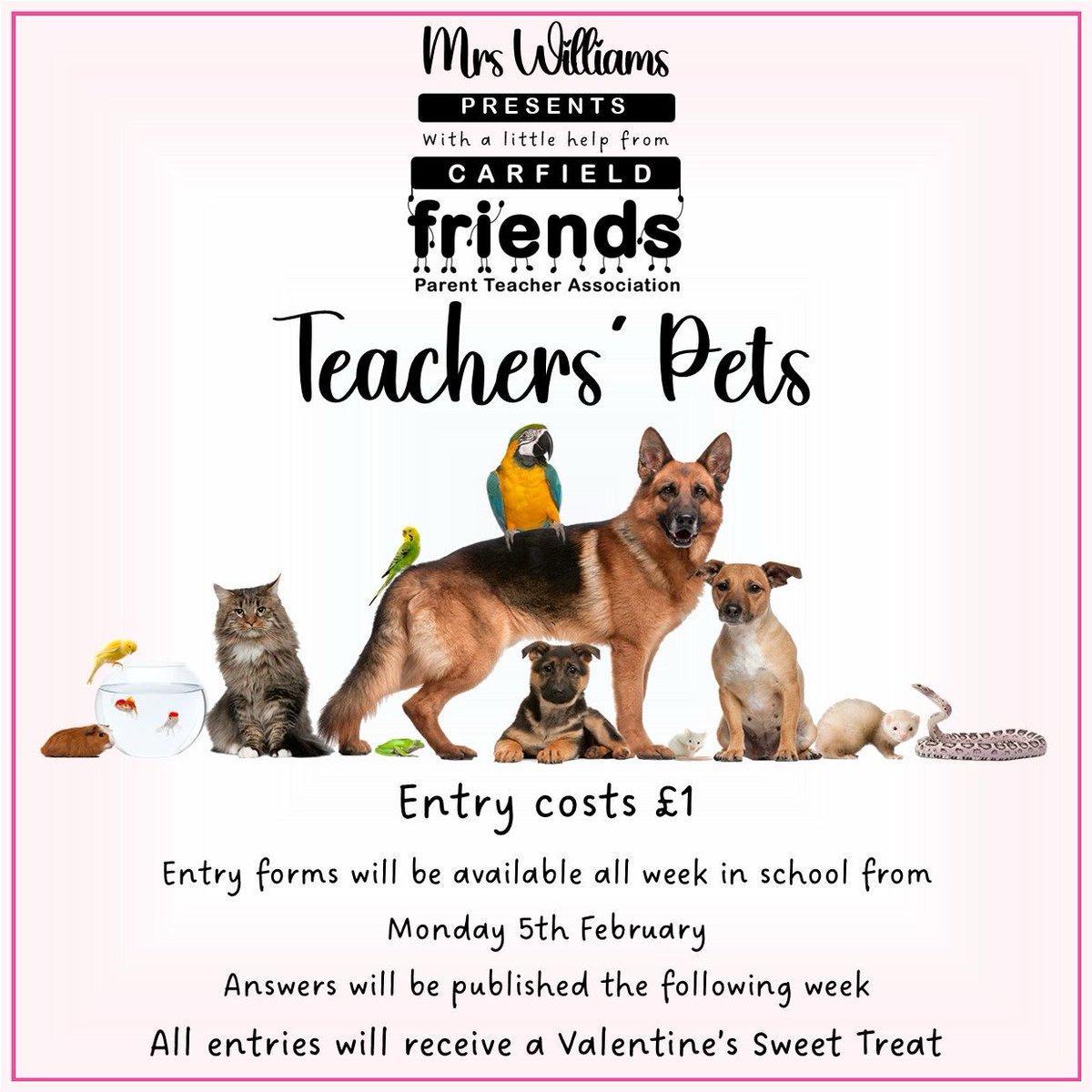 Carfield Friends tweet media