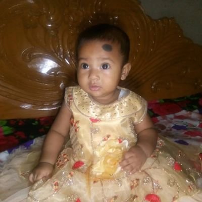 goncalo rodrigues tweet media