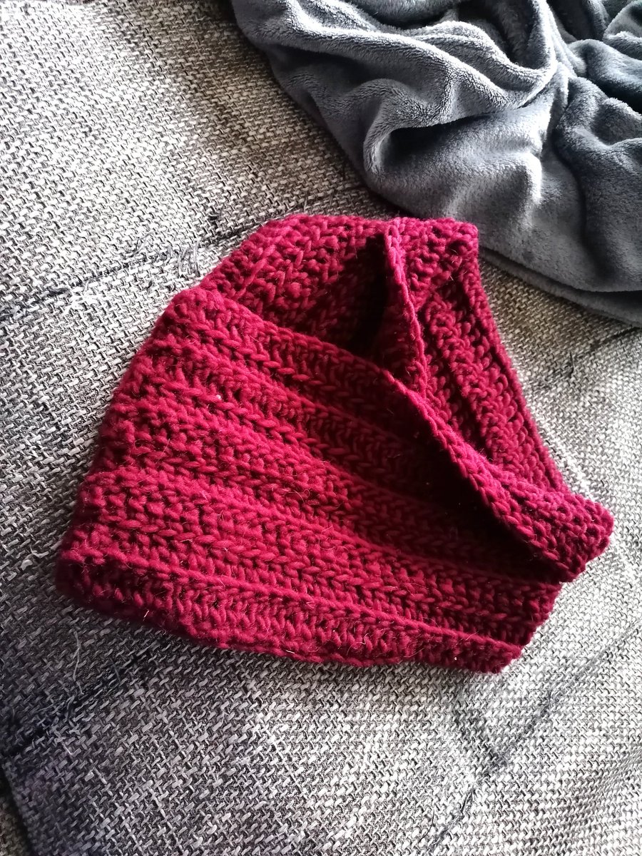 Fertiges WIP
Schalkragen für unter die Jacke
(inklusive jede Menge Katzenhaare)
#CryptidCrotchet